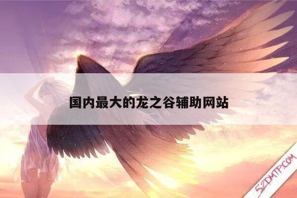 国内最大的龙之谷辅助网站