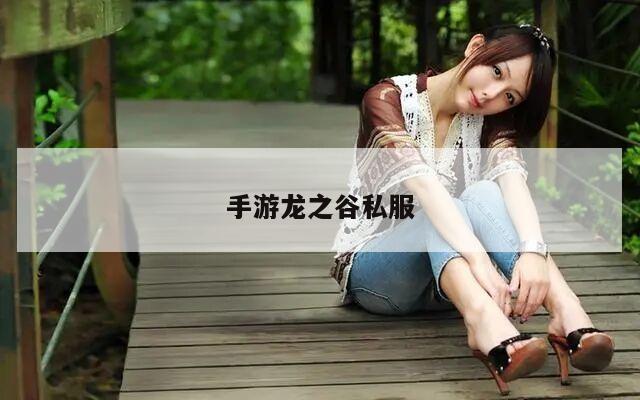 手游龙之谷私服