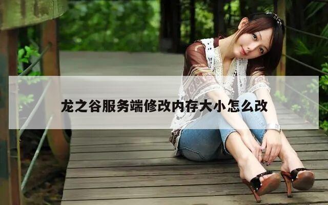 龙之谷服务端修改内存大小怎么改