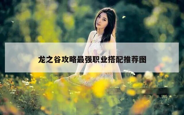 龙之谷攻略最强职业搭配推荐图