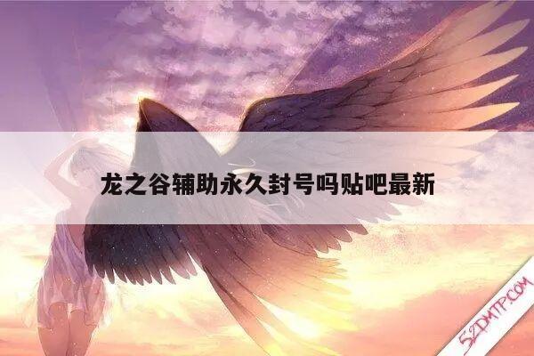 龙之谷辅助永久封号吗贴吧最新