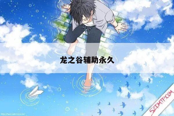 龙之谷辅助永久