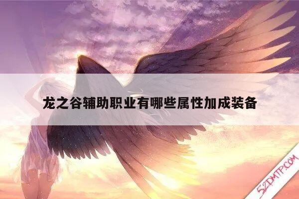 龙之谷辅助职业有哪些属性加成装备