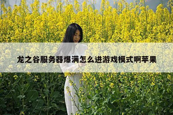龙之谷服务器爆满怎么进游戏模式啊苹果