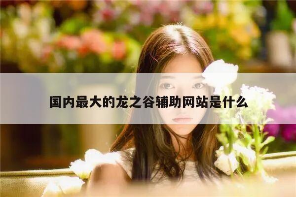 国内最大的龙之谷辅助网站是什么