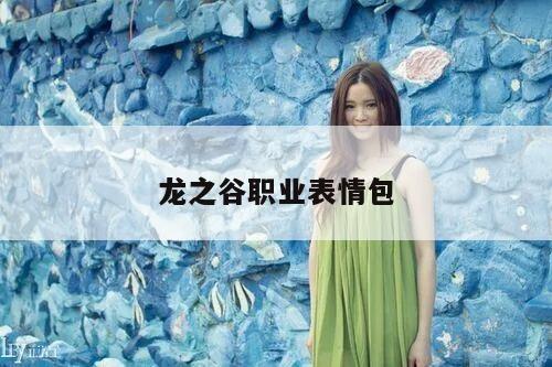 龙之谷职业表情包