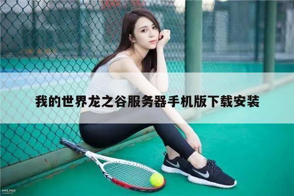 我的世界龙之谷服务器手机版下载安装