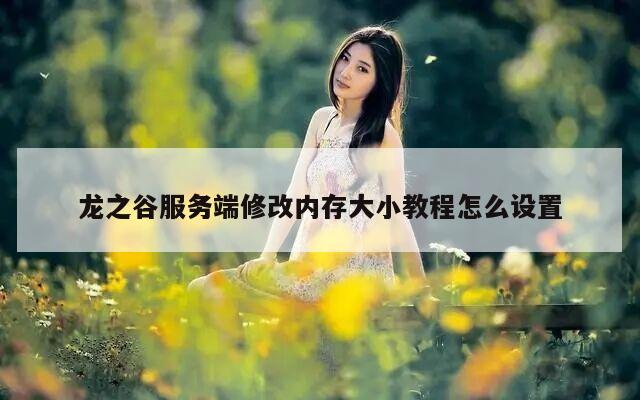 龙之谷服务端修改内存大小教程怎么设置