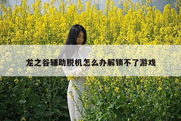 龙之谷辅助脱机怎么办解锁不了游戏