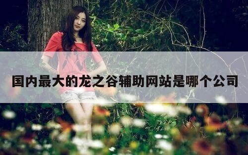 国内最大的龙之谷辅助网站是哪个公司