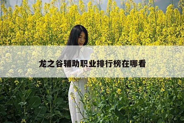 龙之谷辅助职业排行榜在哪看