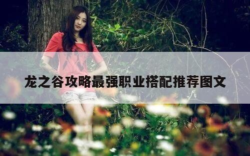 龙之谷攻略最强职业搭配推荐图文