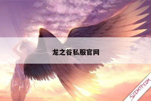 龙之谷私服官网