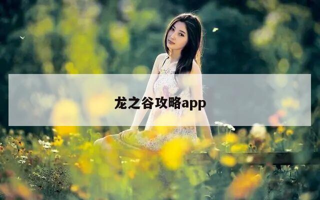 龙之谷攻略app