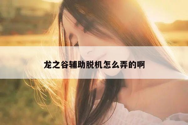 龙之谷辅助脱机怎么弄的啊