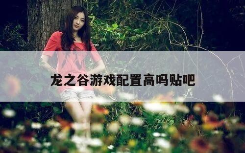 龙之谷游戏配置高吗贴吧