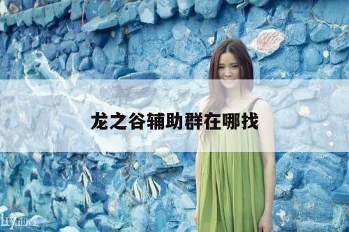 龙之谷辅助群在哪找