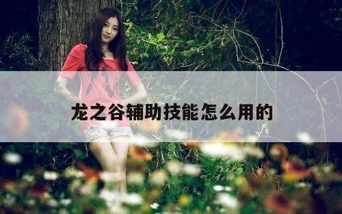 龙之谷辅助技能怎么用的