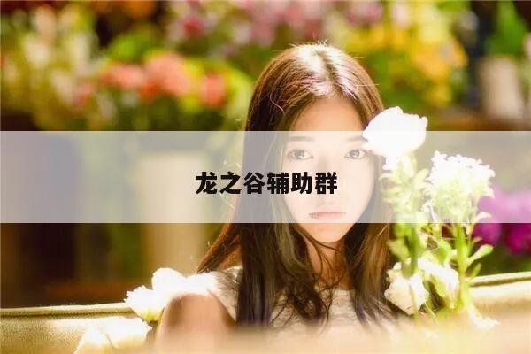 龙之谷辅助群