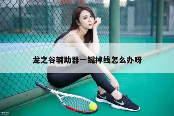 龙之谷辅助器一键掉线怎么办呀