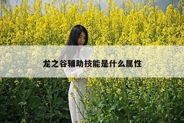 龙之谷辅助技能是什么属性