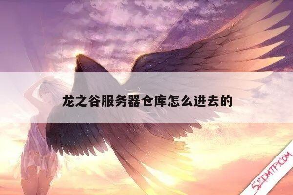 龙之谷服务器仓库怎么进去的