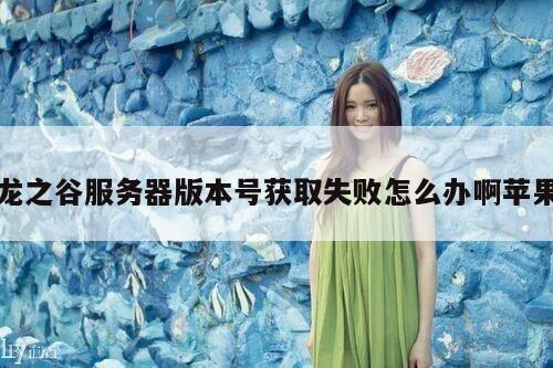 龙之谷服务器版本号获取失败怎么办啊苹果