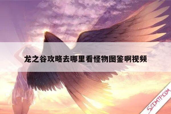 龙之谷攻略去哪里看怪物图鉴啊视频