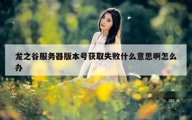 龙之谷服务器版本号获取失败什么意思啊怎么办