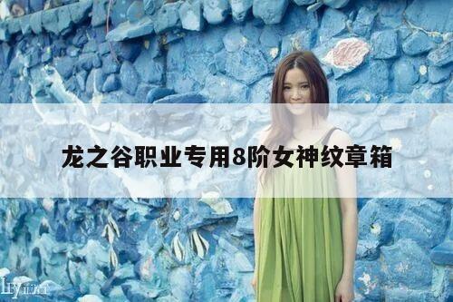 龙之谷职业专用8阶女神纹章箱