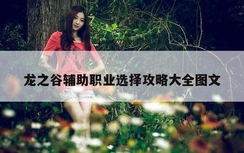 龙之谷辅助职业选择攻略大全图文