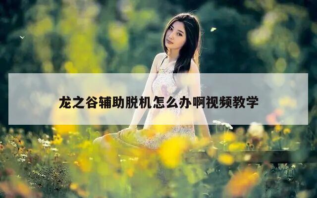 龙之谷辅助脱机怎么办啊视频教学