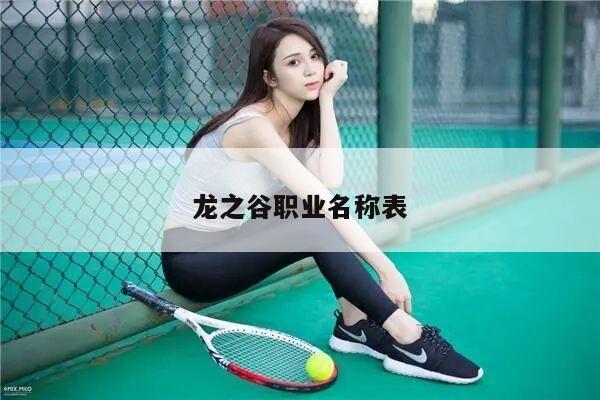 龙之谷职业名称表