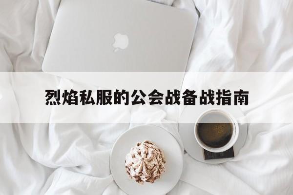 关于冒险岛私服的公会战备战指南的信息