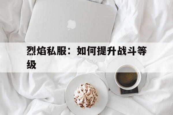 关于冒险岛私服：如何提升战斗等级的信息